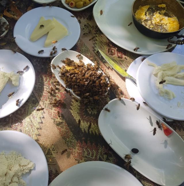 Turistik restoranlara arı kovanı darbesi! Müşteriler ardına bakmadan kaçıyor, esnaf isyanda