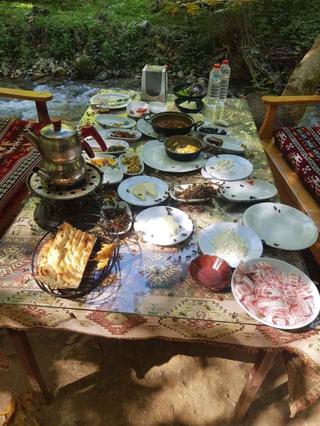 Turistik restoranlara arı kovanı darbesi! Müşteriler ardına bakmadan kaçıyor, esnaf isyanda