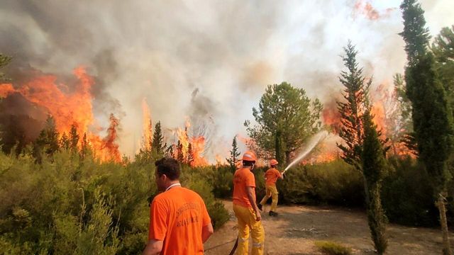 Antalya'da yangın! Alevler önce lüks teknelere sonra ormana sıçradı