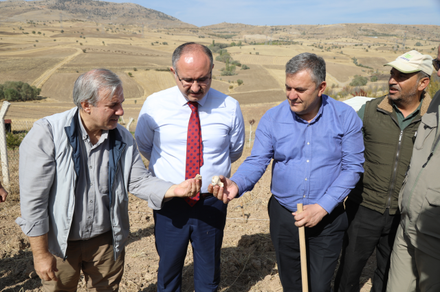 Ankara'da toplu mezar bulundu