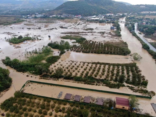 Şile şiddetli yağış sonrası dere taştı, tarım arazileri ve evler sular altında kaldı