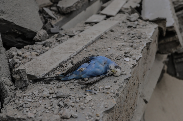 İsrail yasaklı fosfor bombası kullandı! 800 derece sıcaklığa ulaşıyor, vücudu içten dışa doğru yakıyor