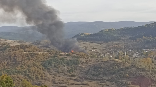 Kastamonu'da bir köyde çıkan yangında 40 ev ve ahır küle döndü