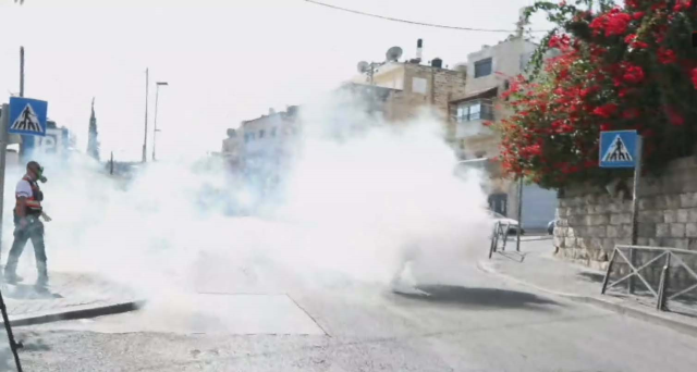 Mescid-i Aksa'da 4. cuma! İsrail polisi namazın arından yine gaz bombasıyla saldırdı