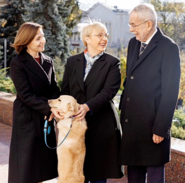 Moldova Cumhurbaşkanı Maia Sandu'nun köpeği, Avusturya Cumhurbaşkanı Alexander Van der Bellen'i ısırdı