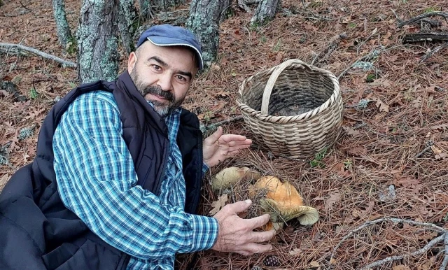 Dev kanlıca mantarını görünce hemen telefona sarıldı: Böyle bir şey yok