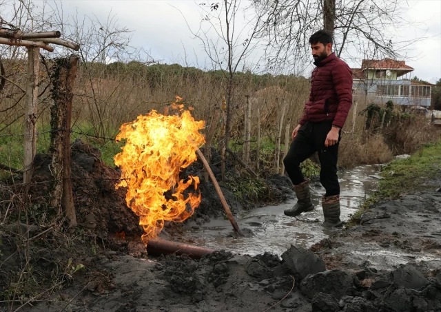 Samsun'da fındık ve çeltik tarlalarında yapılan sondajda yanıcı gaz çıktı