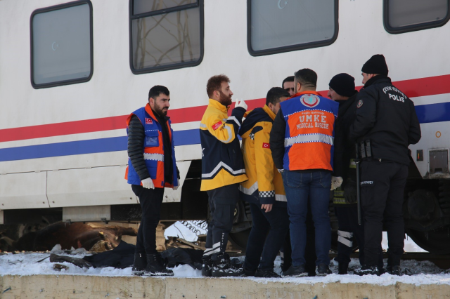 Muş'ta hızla gelen tren, büyükbaş hayvan yüklü tırı biçti: 2 ölü, 2 yaralı