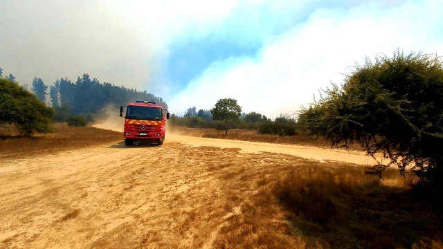 Şili'de orman yangını yerleşim yerlerine sıçradı! 10 kişi hayatını kaybetti, OHAL ilan edildi